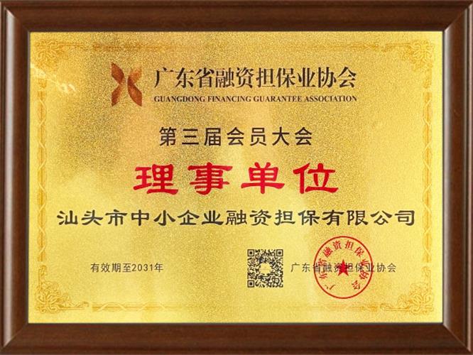广东省融资担保业协会-理事单位